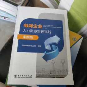 电网企业人力资源管理实践案例集