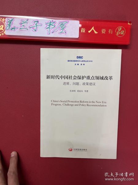 新时代中国社会保护重点领域改革：进展、问题、政策建议（国务院发展研究中心研究丛书2018）