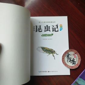 法布尔昆虫记（彩绘本）·被误解的蝉