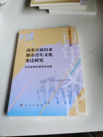 改革开放以来都市青年文化变迁研究 ——以北京青年亚文化为例