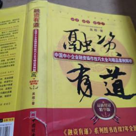 融资有道：中国中小企业融资操作技巧大全与精品案例解析（最新修订精华版）