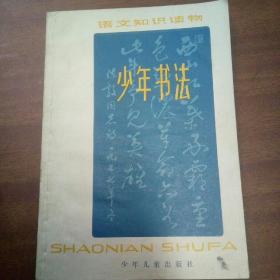 少年书法。