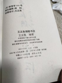 王正良钢笔书法
