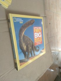 First Big Book of Dinosaurs