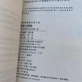 许友彬悬念时空系列：男孩与海龟