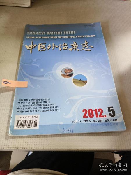 中医外治杂志（2012年第5期）