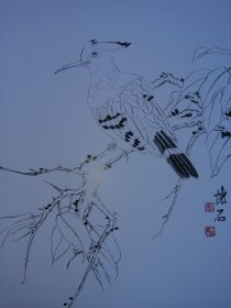 花鸟白描图谱 中国画素材库
