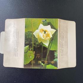 明信片：花卉摄影艺术