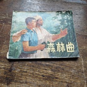森林曲