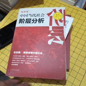 中国当代社会阶层分析 （最新修订本）