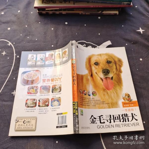 金毛寻回猎犬