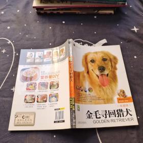 金毛寻回猎犬