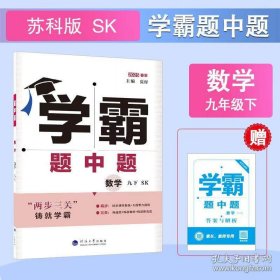 2025春季数学九下 SK