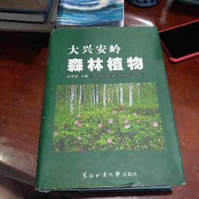 大兴安岭森林植物