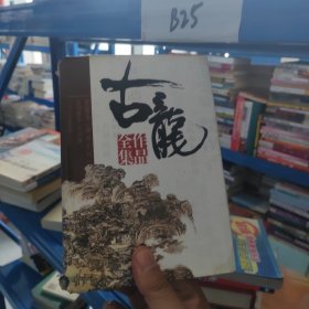 古龙作品全集11：血海飘香 大沙漠（硬精装正版书）