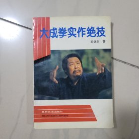 大成拳实作绝技