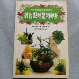 时尚观叶植物养护