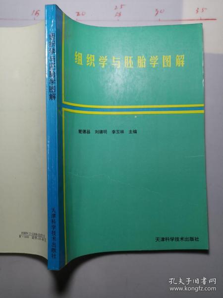 组织学与胚胎学图解