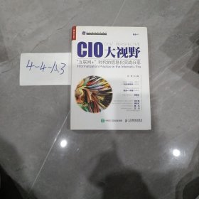 CIO大视野：“互联网+”时代的信息化实战分享