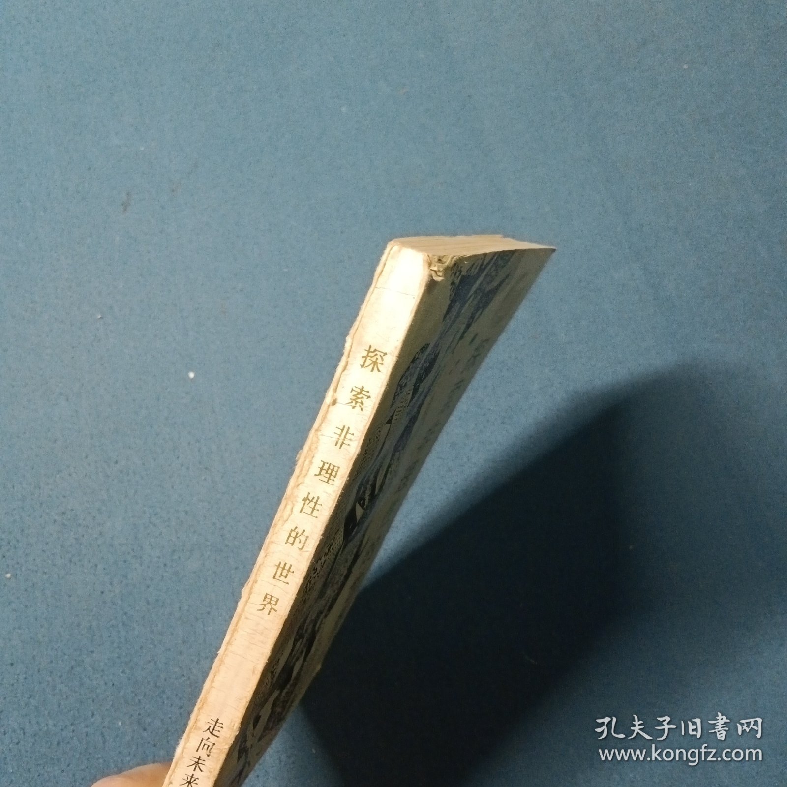 走向未来丛书探索非理性的世界