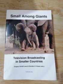 small among Giants Television Broadcasting in Smaller Countries