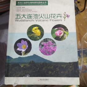 黑龙江省野生植物原色图库丛书：五大连池火山花卉