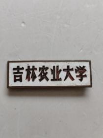 吉林农业大学老校徽.老铜章
