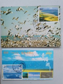 青海湖鸟岛自制极限片两种，
