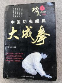 中国功夫经典大成拳