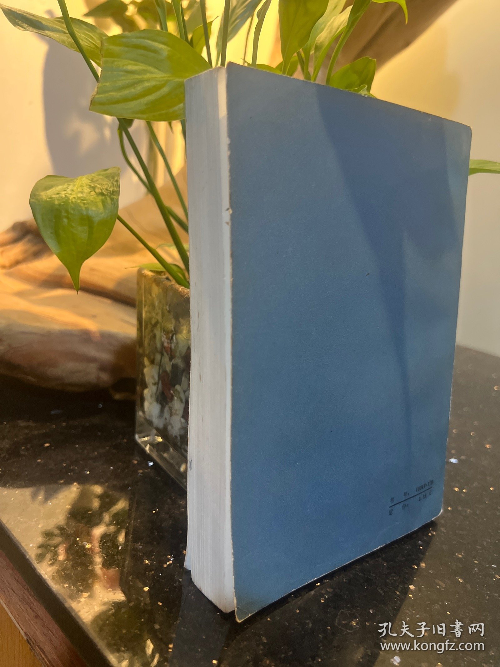 春（1985年3.版6印）