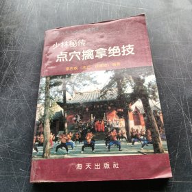 少林秘传点穴擒拿绝技