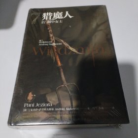 猎魔人 卷七：湖中女士(修订本)