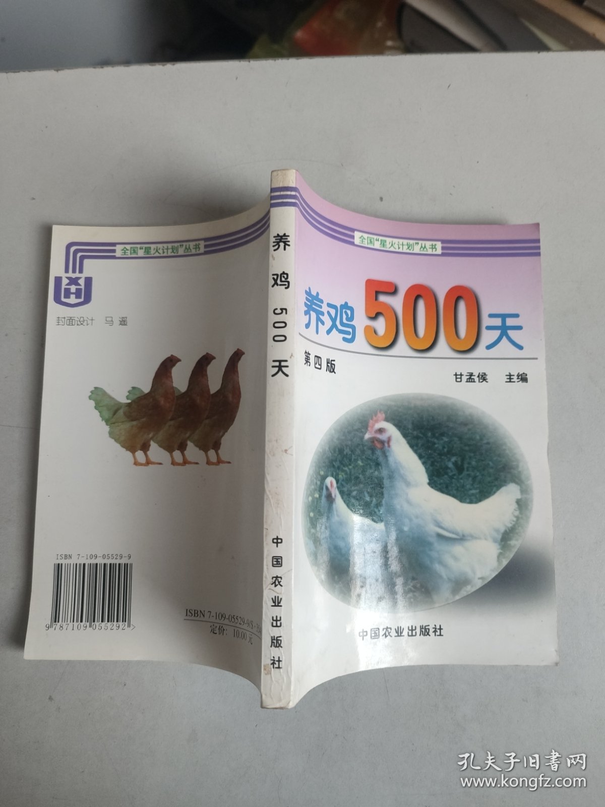 养鸡500天 第四版