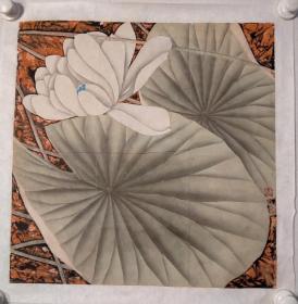 陈壁光工笔花鸟画作《荷花》一幅，尺寸:45*45