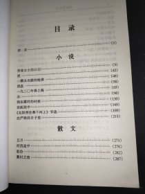 丁玲作品集：著名作家精品文丛