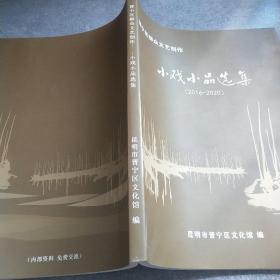 晋宁区群众文艺创作小戏小品选集2016-2020*