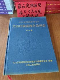 【中华人民共和国地方志丛书】文山壮族苗族自治州志 第二卷（精装）