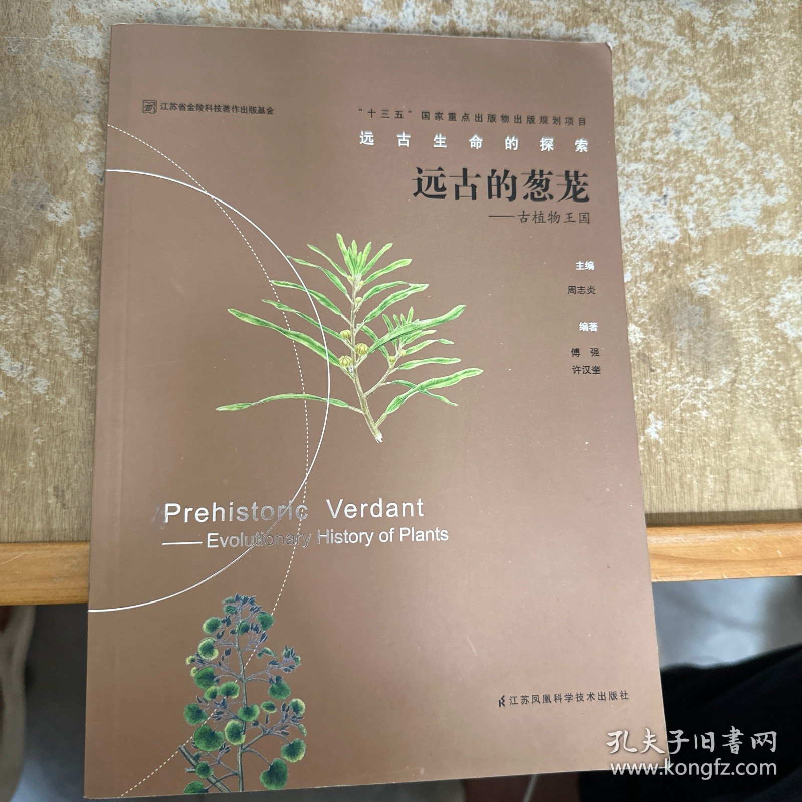 远古的葱茏：古植物王国/远古生命的探索