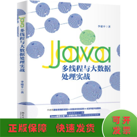 Java多线程与大数据处理实战