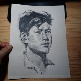 16开人物素描散页画一张