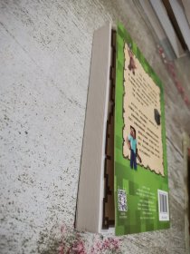 我的世界：觉醒！寻找未来战士！