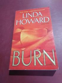 Burn: A Novel