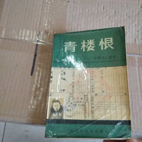 青楼恨：中国之《望乡》