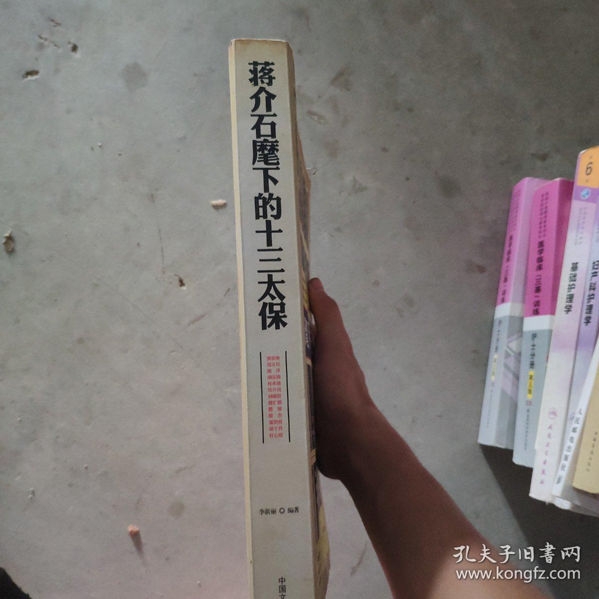 蒋介石麾下十三太保