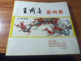 王成喜画梅集
