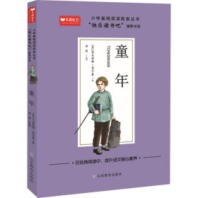 童年小学基础阅读配套丛书：快乐读书吧六年级