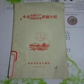 小麦高额丰产田间管理经验介绍