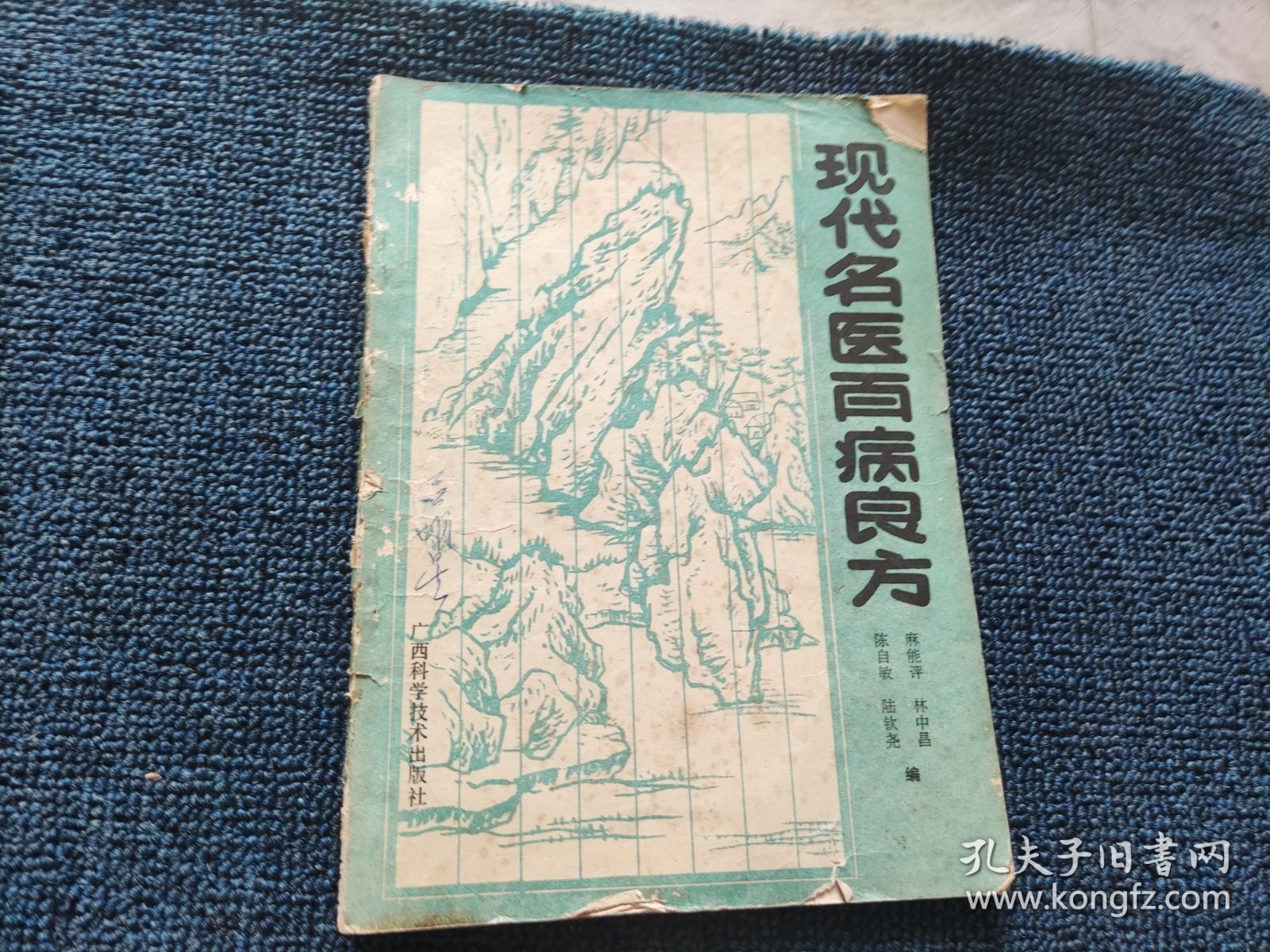 现代名医百病良方