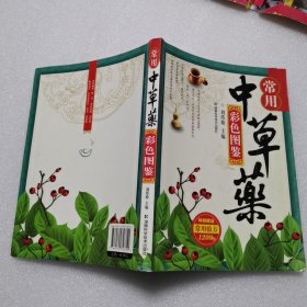 常用中草药彩色图鉴