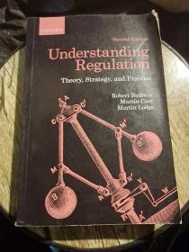 Understanding Regulation